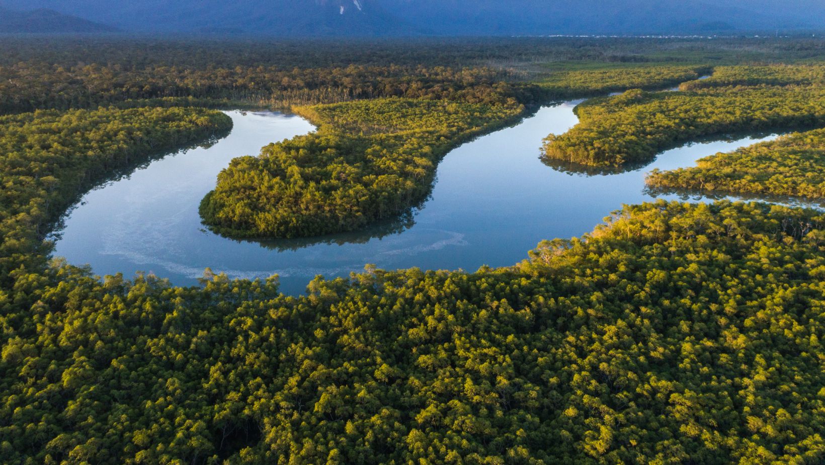 Novos critérios para Supressão de Vegetação no Estado do Paraná: conheça a Portaria IAT n.º 266/2022